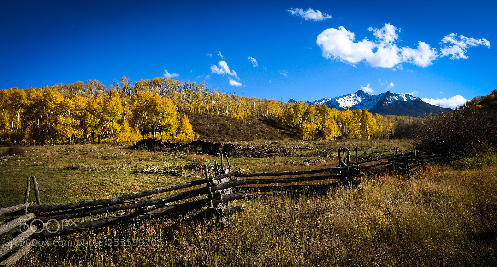 Canon EOS 5DS sample photo. Dollar views photography