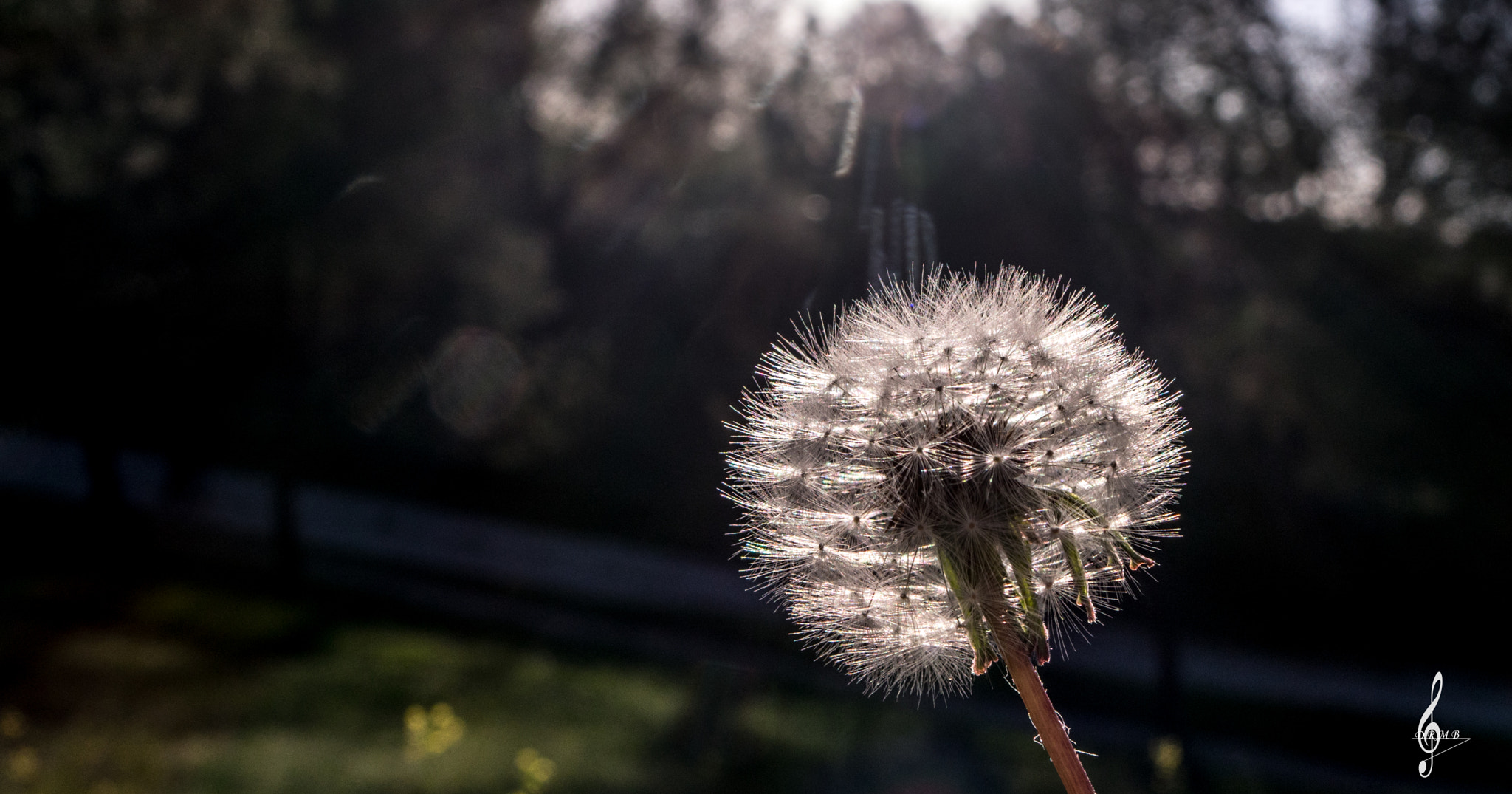 Sony Cyber-shot DSC-RX10 II sample photo. One day photography