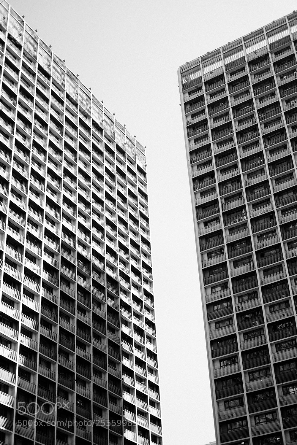 Fujifilm X-T1 sample photo. Dscf photography