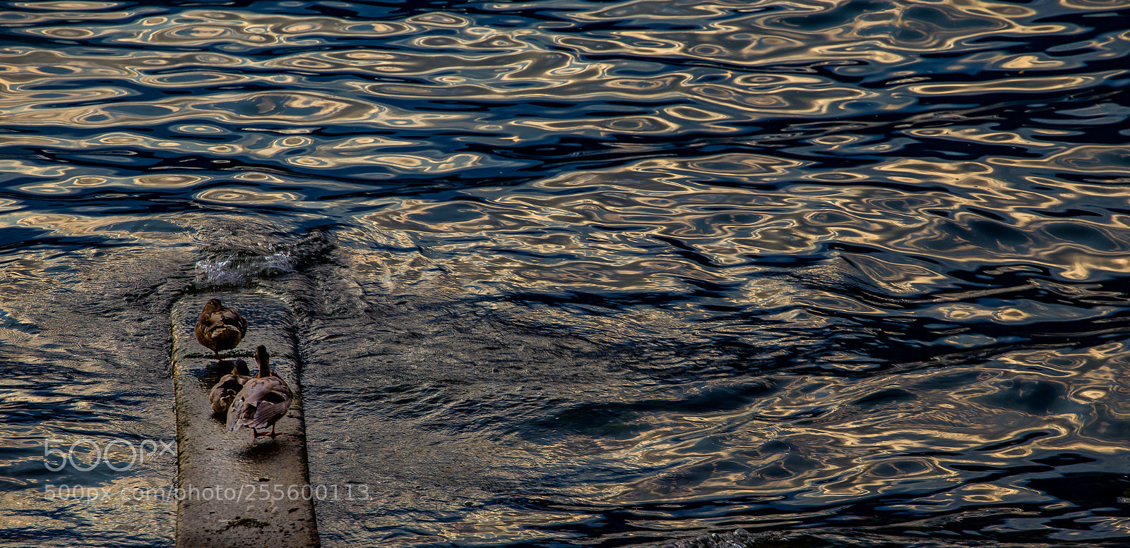 Canon EOS 6D sample photo. Water texture photography