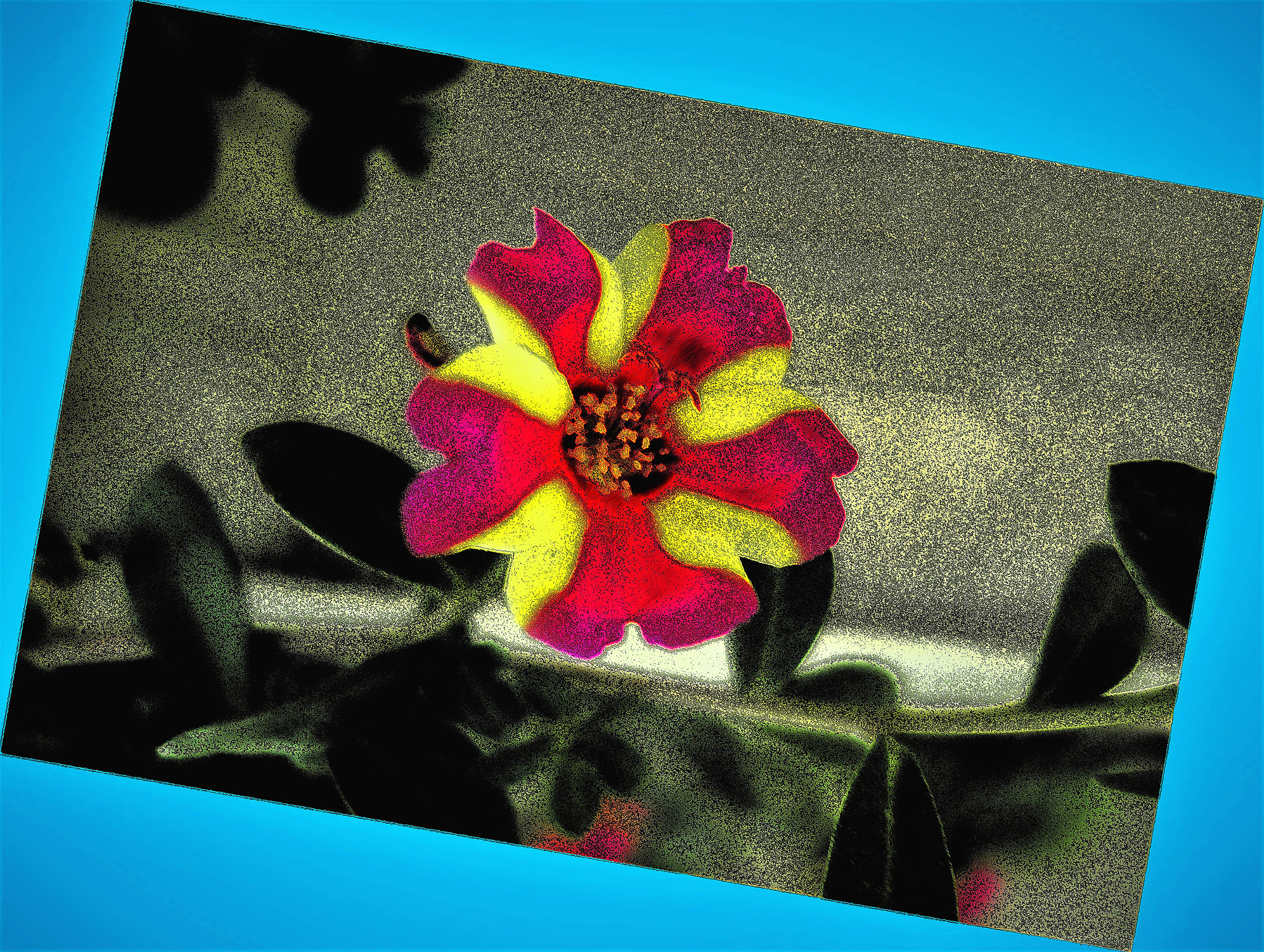 fiore