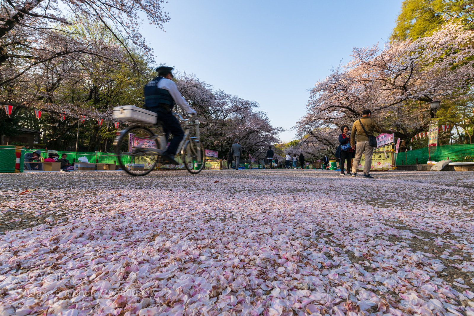 Sony a7R II sample photo. Ueno park of tokyo photography
