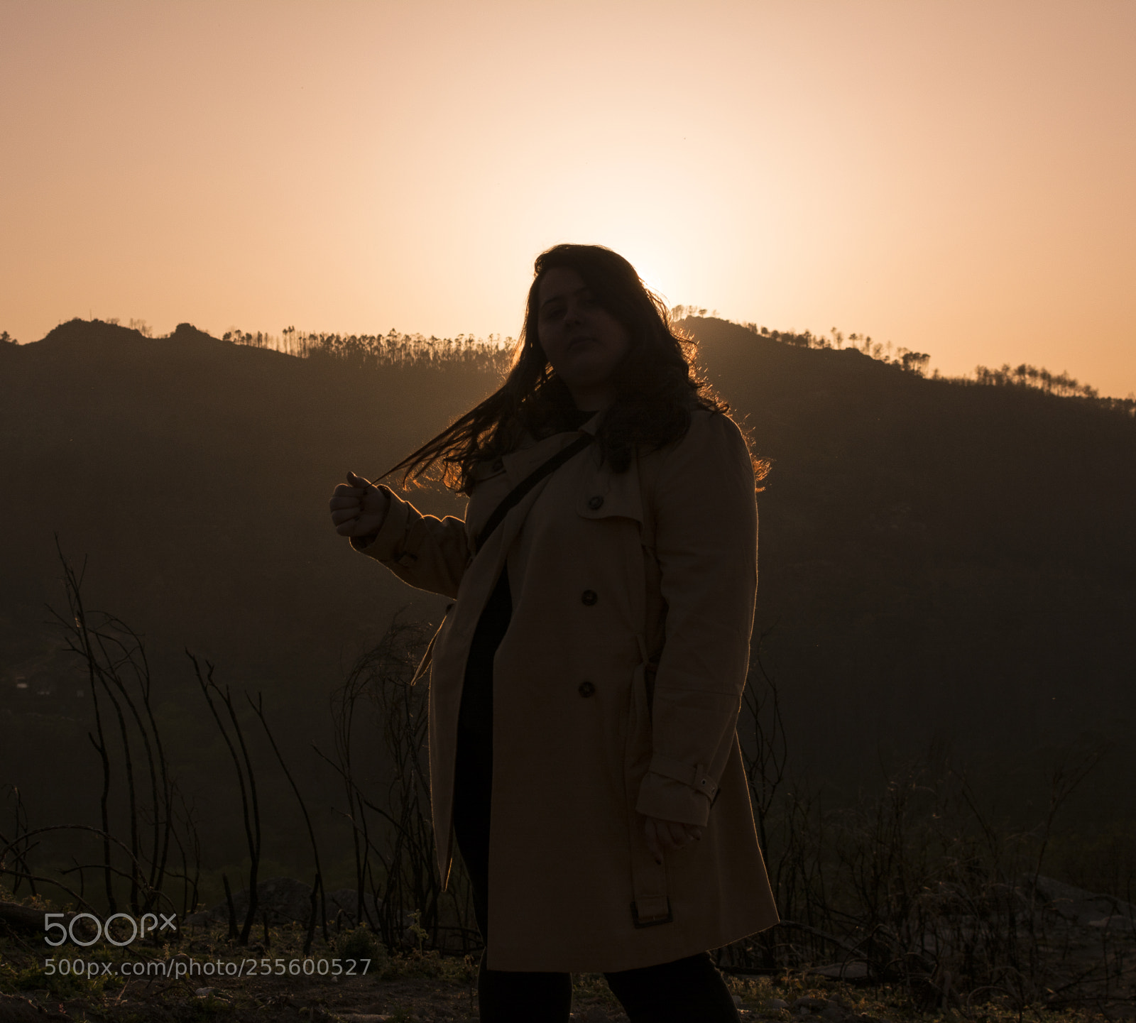 Nikon D5200 sample photo. Silhouette photography