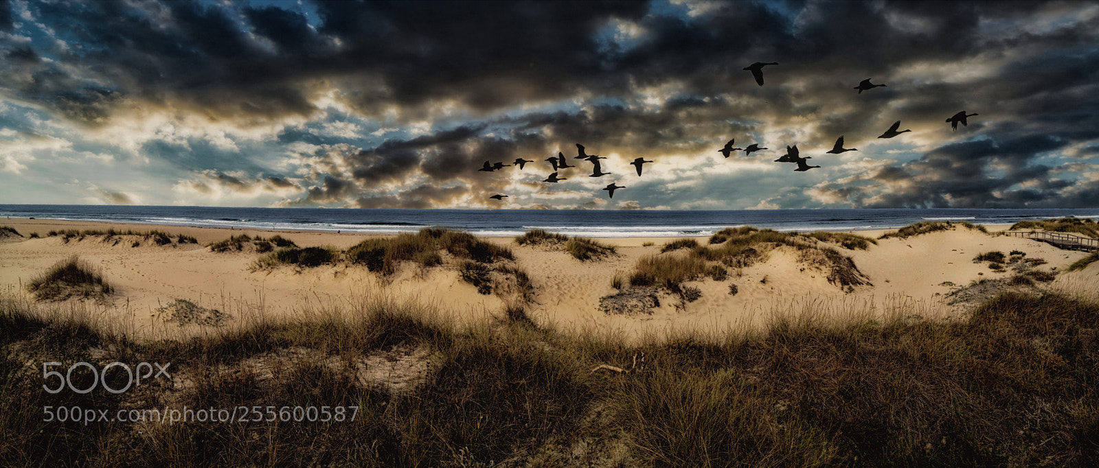 Apple iPhone 4S sample photo. Portugal reserva natural das photography