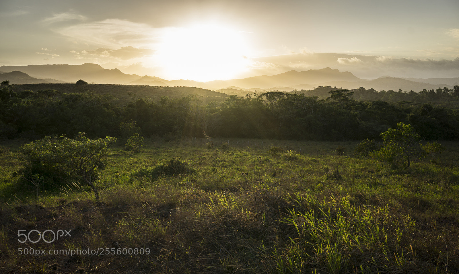 Sony a6000 sample photo. Home land photography