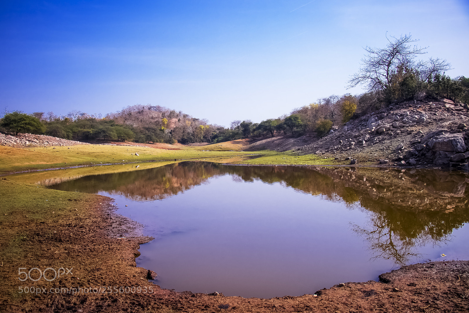 Canon EOS 80D sample photo. Nature beauty photography