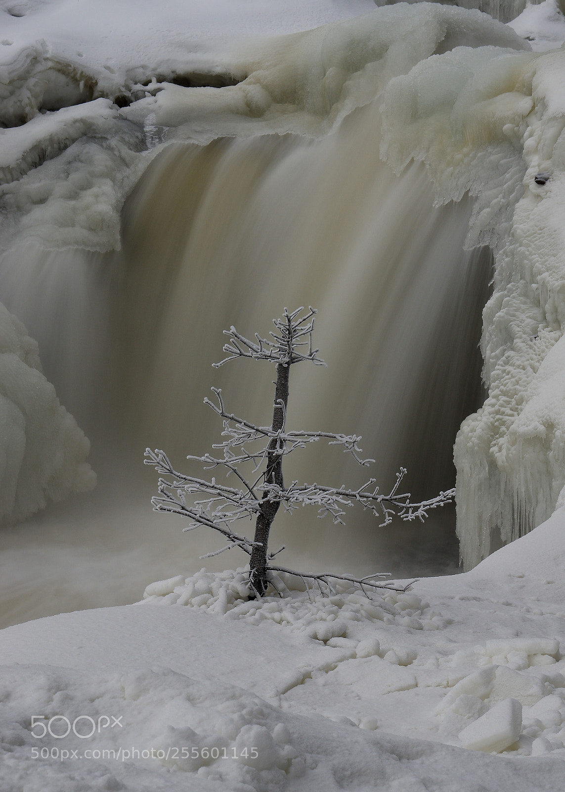 Pentax K-3 II sample photo. All by myself photography