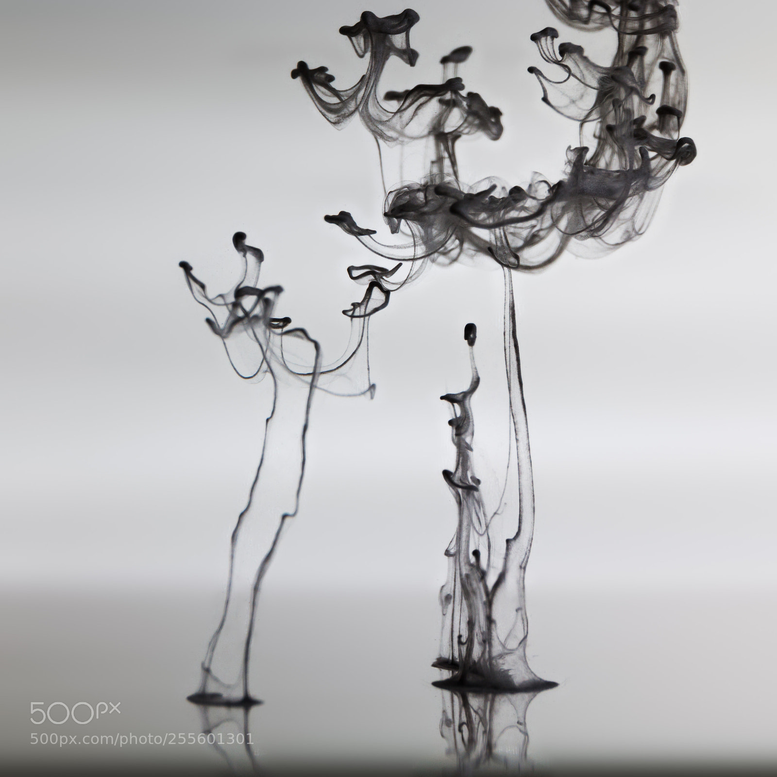 Canon EOS 70D sample photo. Water, gouache, reflection photography