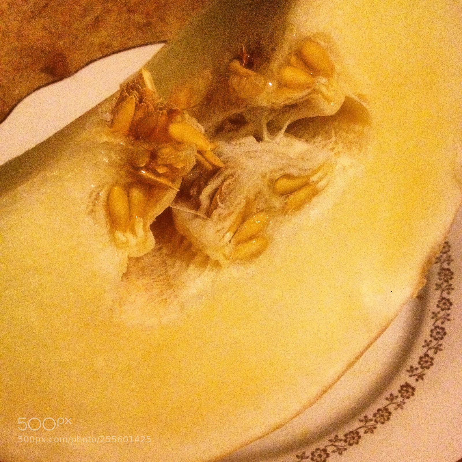Apple iPhone 4S sample photo. Melon photography