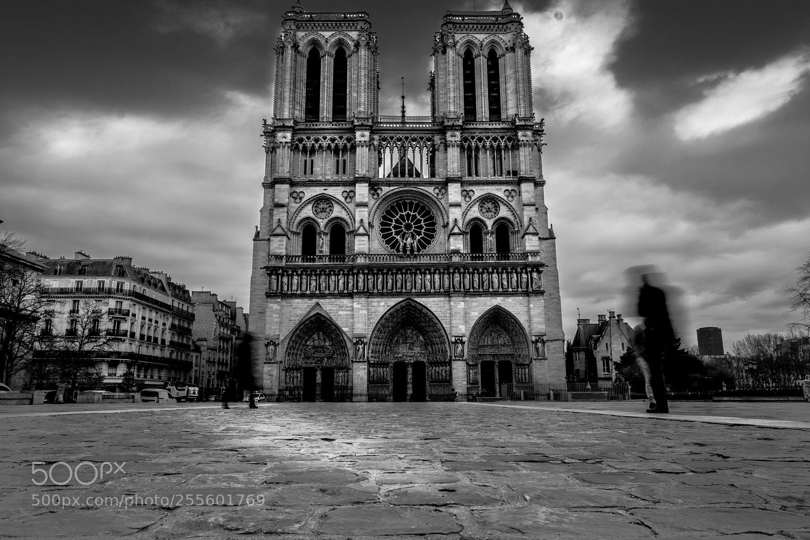 Fujifilm X-T2 sample photo. Notre dame cathedral, early photography