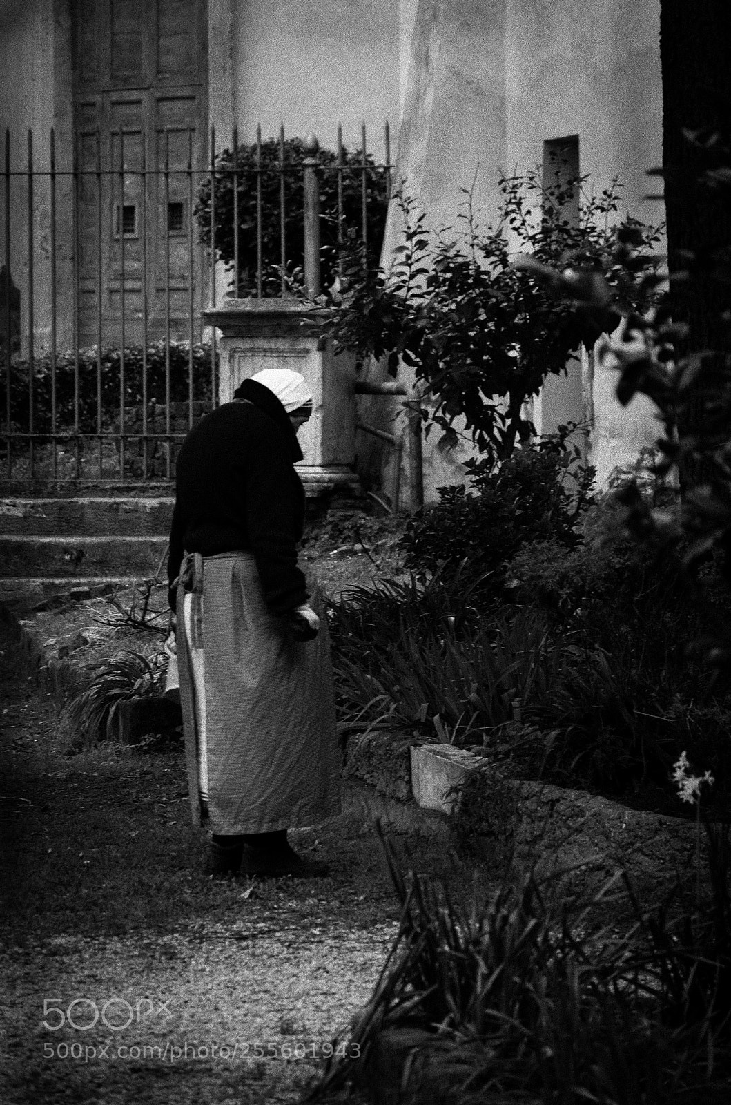 Nikon D5100 sample photo. The gardener nun photography