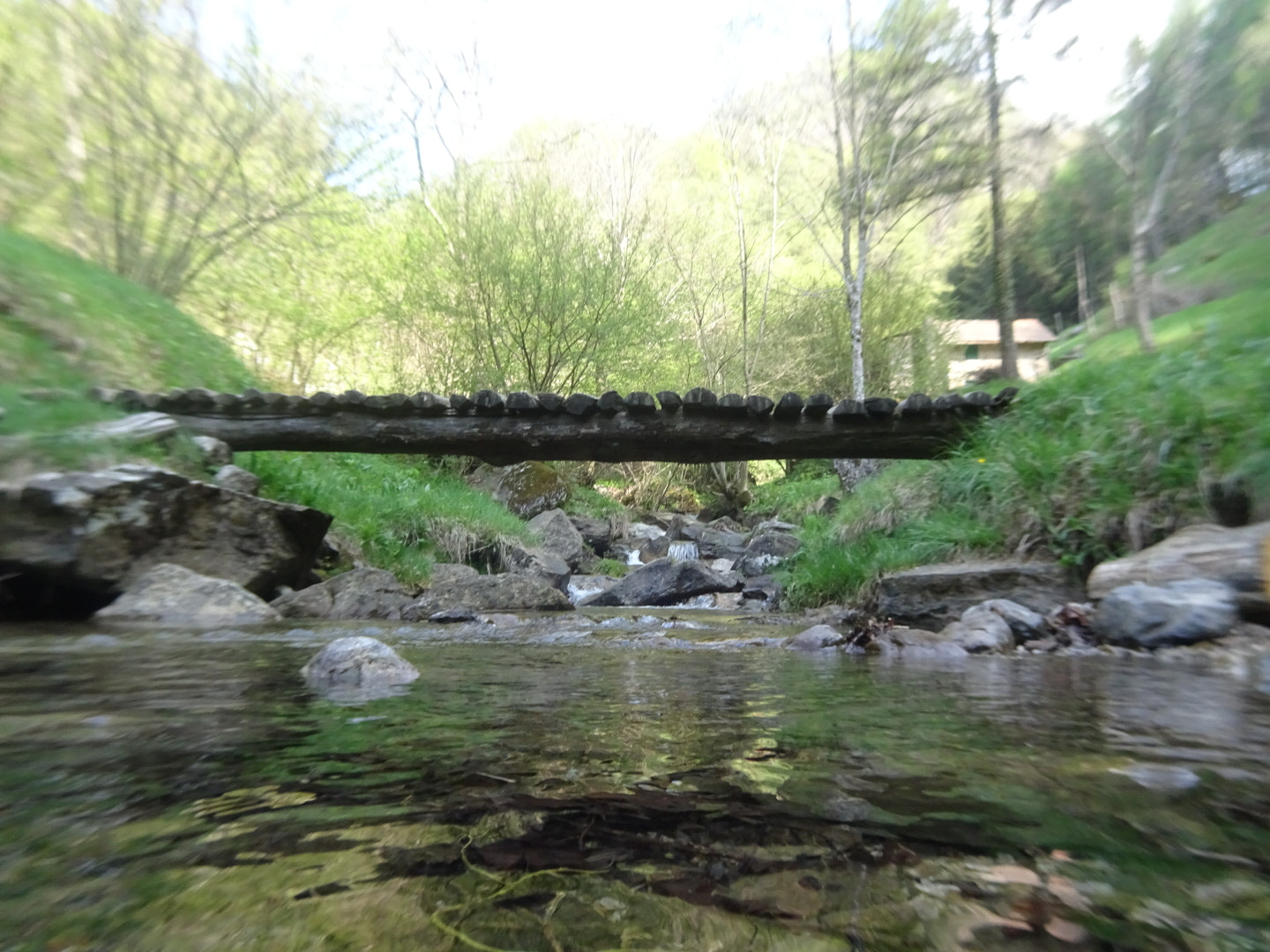 Sony Cyber-shot DSC-HX80 sample photo