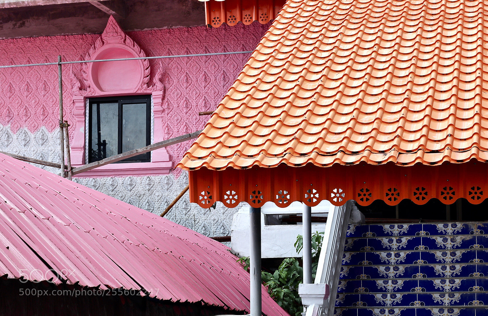 Canon EOS 700D (EOS Rebel T5i / EOS Kiss X7i) sample photo. Colour me in  photography