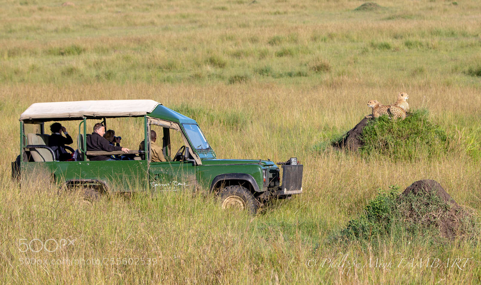 Canon EOS 5D Mark IV sample photo. Driving cheetah in masai photography