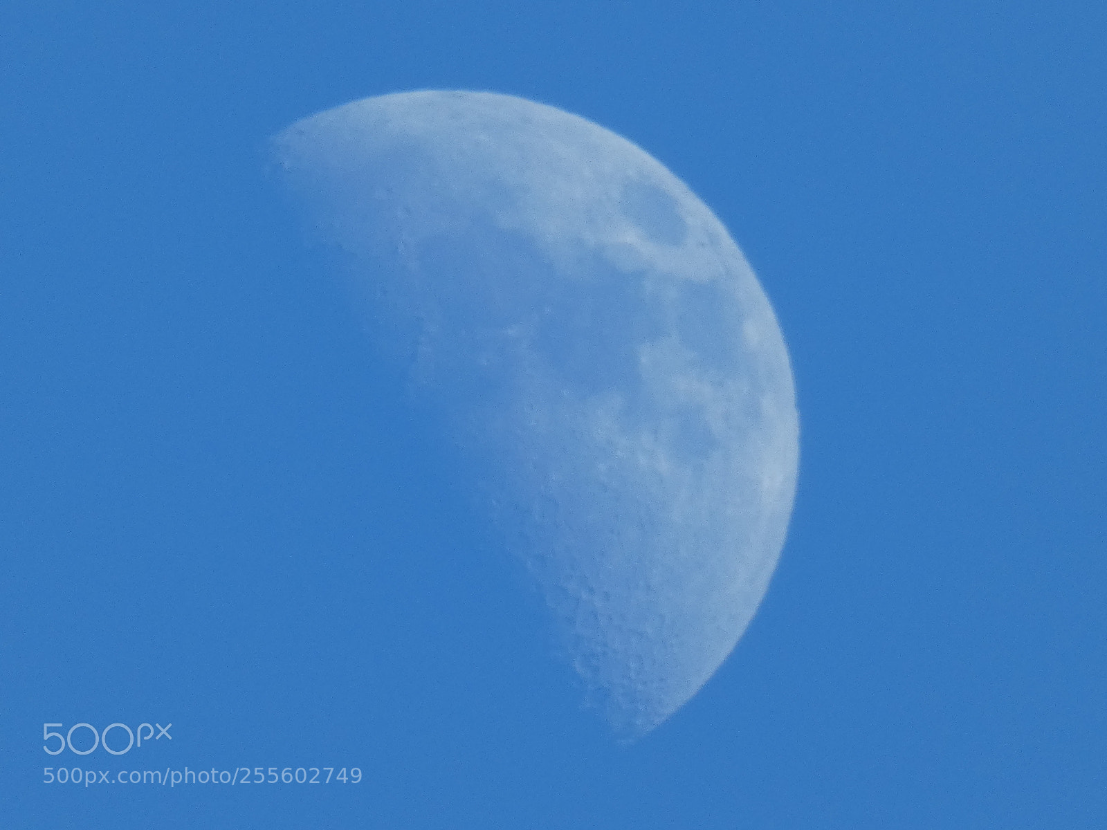 Panasonic Lumix DC-FZ80 (Lumix DC-FZ82) sample photo. Day light moon photography