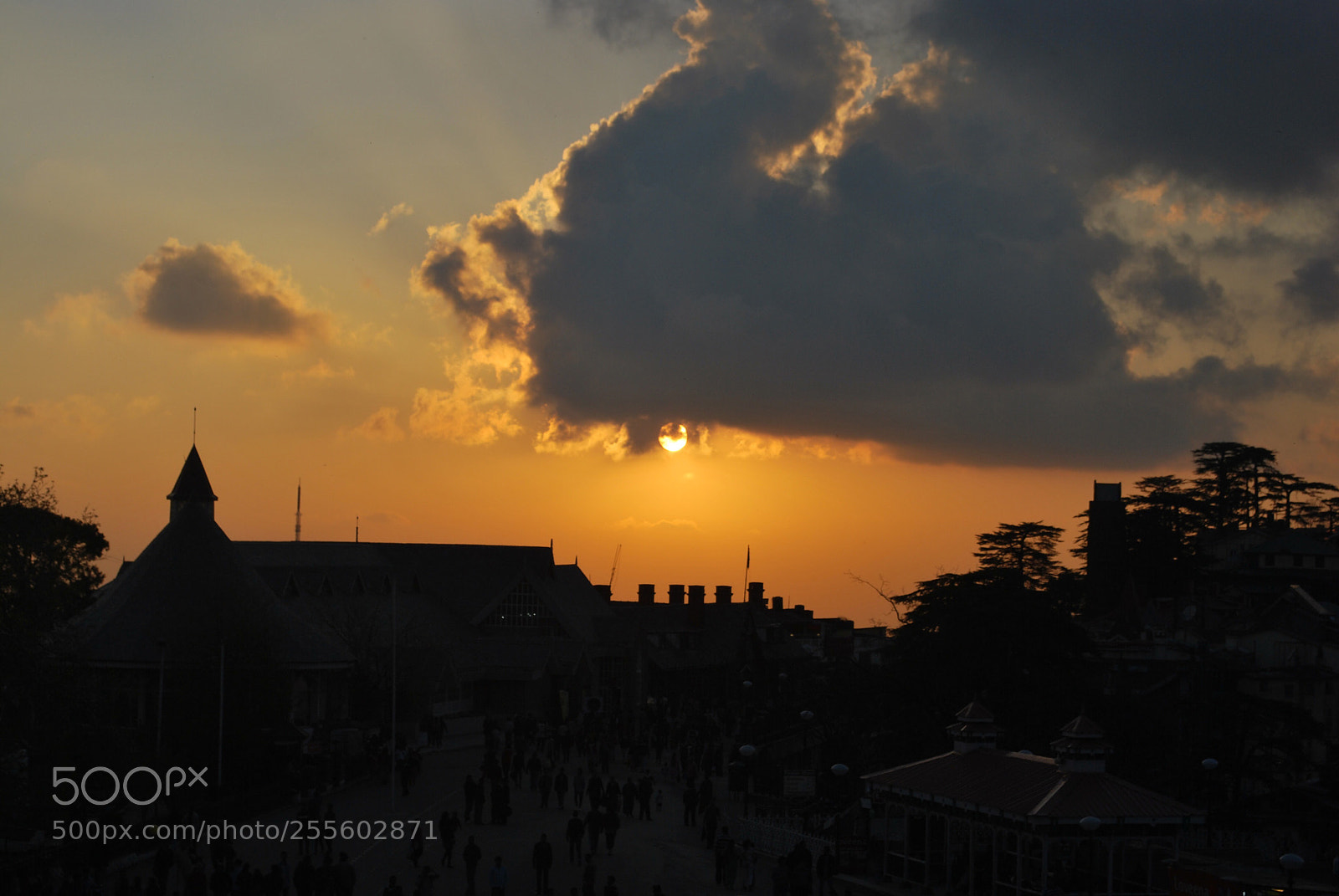 Nikon D60 sample photo. A simla sunset photography