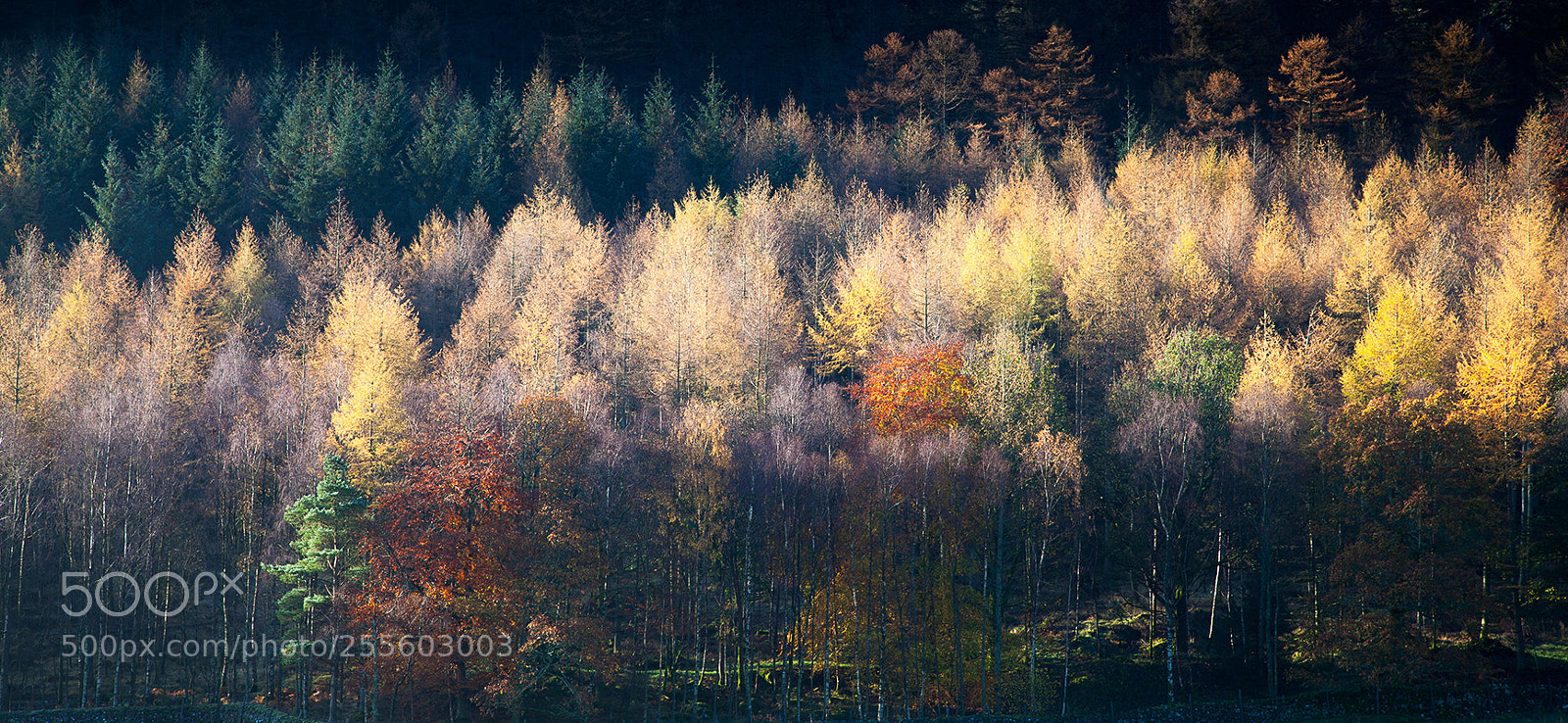 Canon EOS 5D Mark II sample photo. Near keswick photography