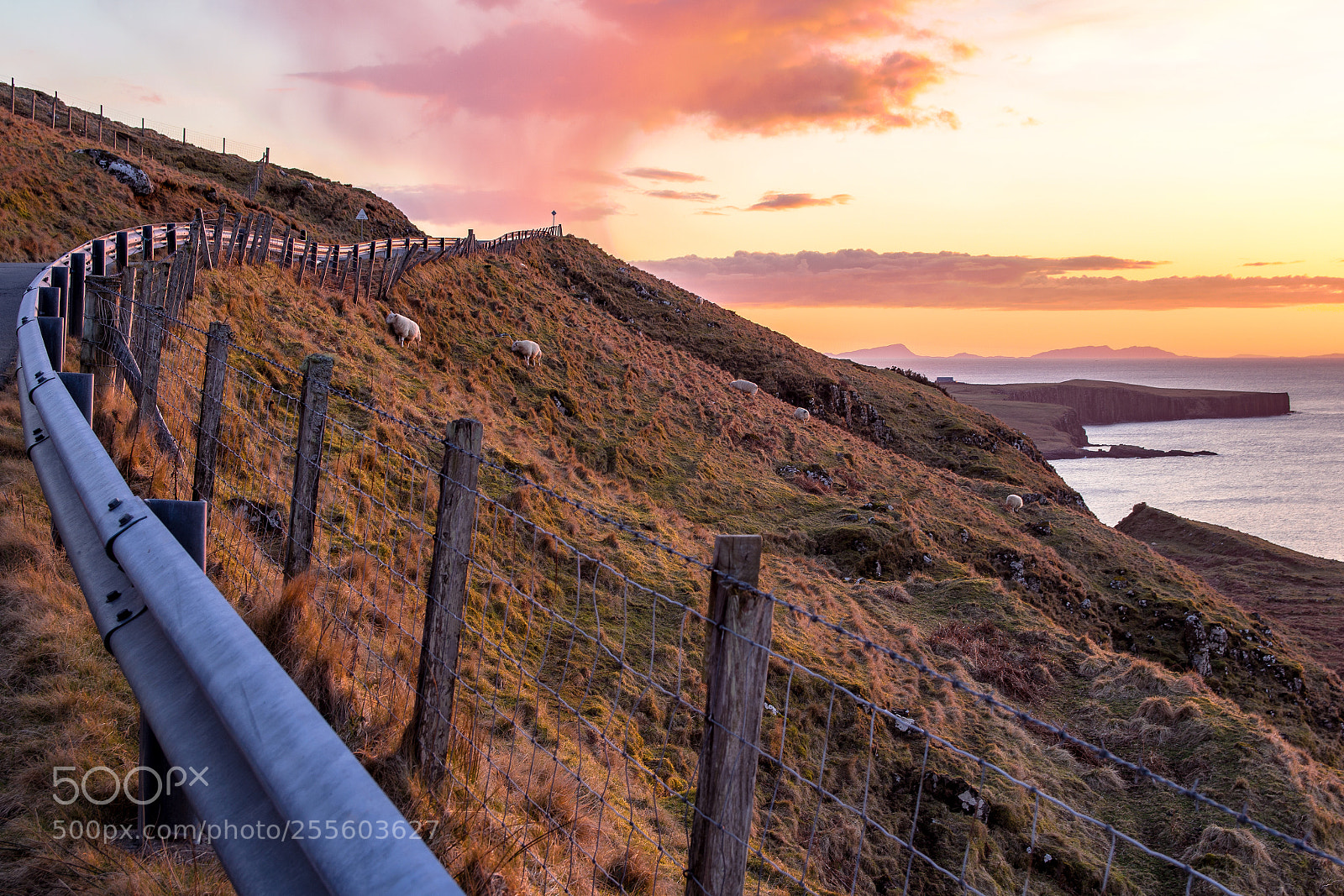 Canon EOS 60D sample photo. Landscape on the road photography