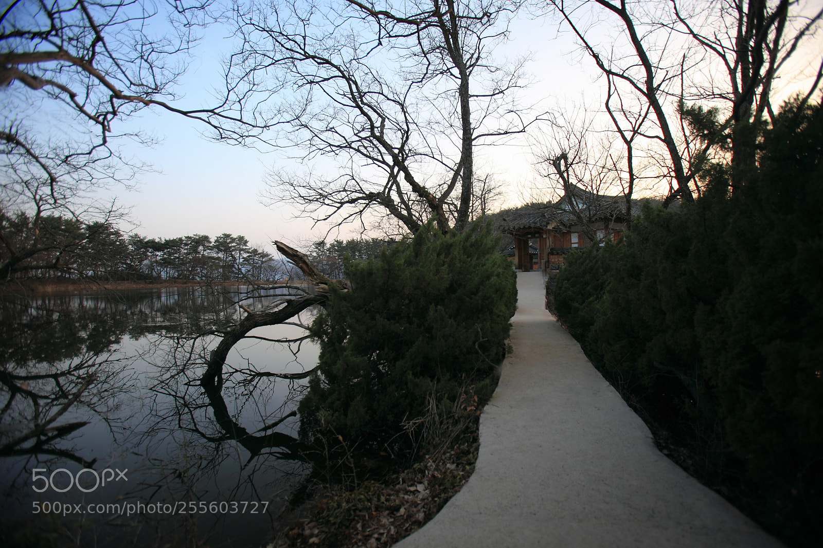 Canon EOS 5D Mark II sample photo. The way home photography