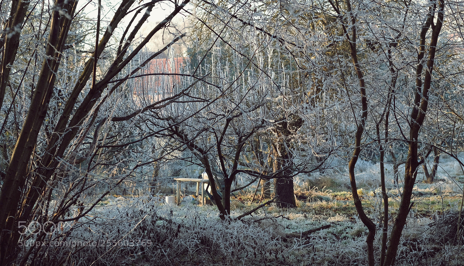 Fujifilm X-Pro2 sample photo. Dscf photography