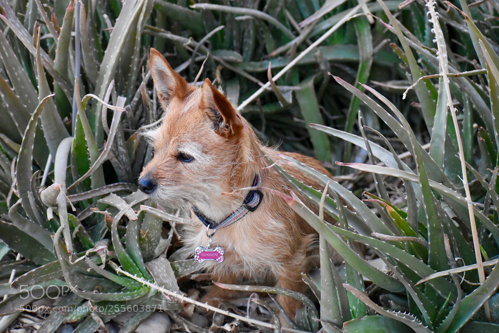 Nikon D3400 sample photo. Playing outside photography