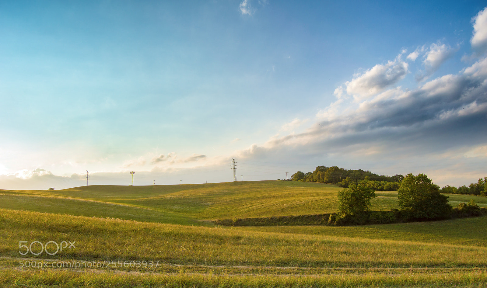 Nikon D3200 sample photo. Green waves photography