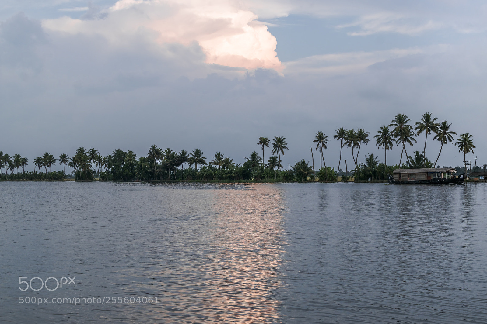 Nikon D5300 sample photo. Sunset over the backwaters-1 photography