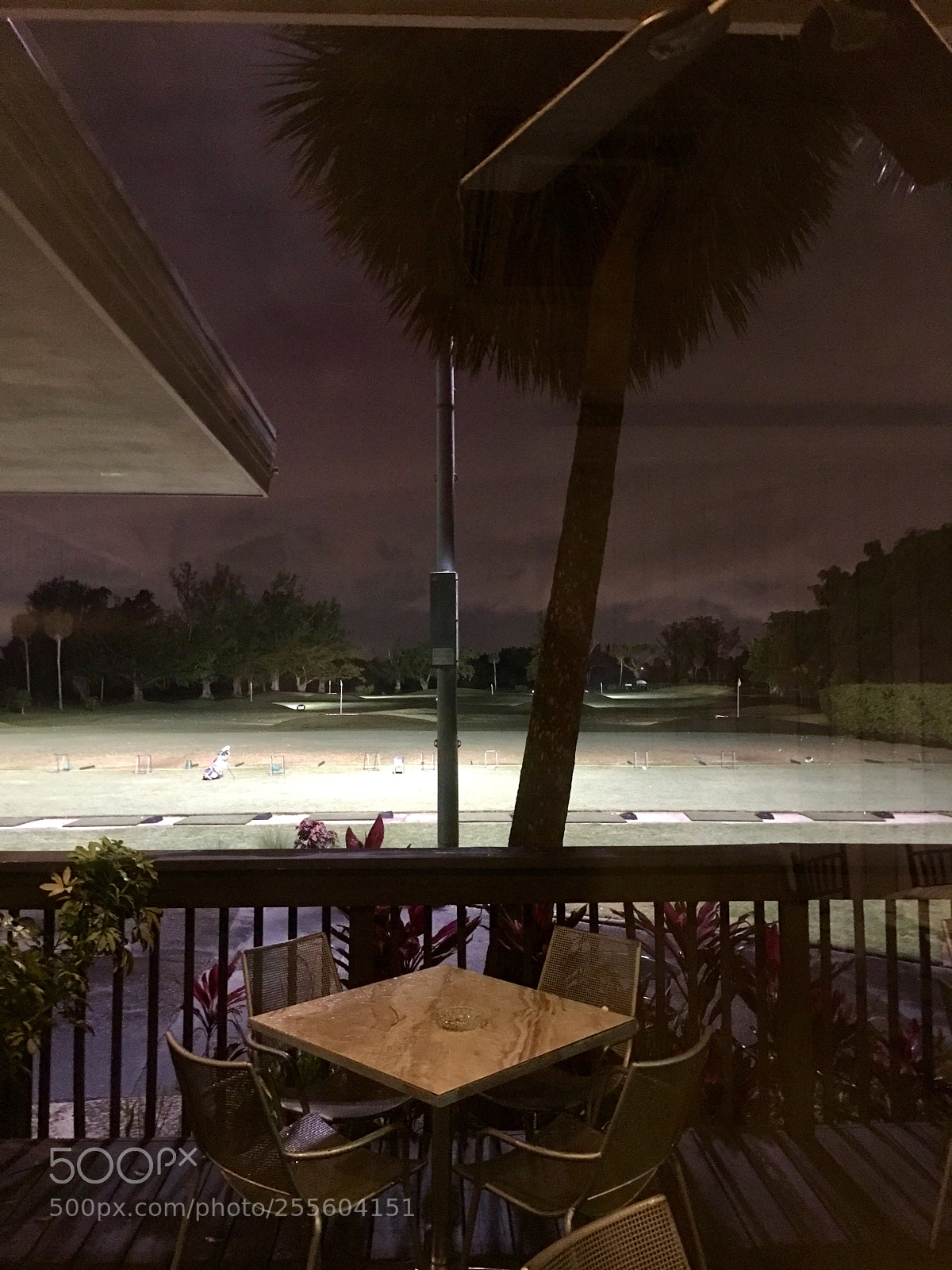 Apple iPhone 6s Plus sample photo. Golf- miami shores photography
