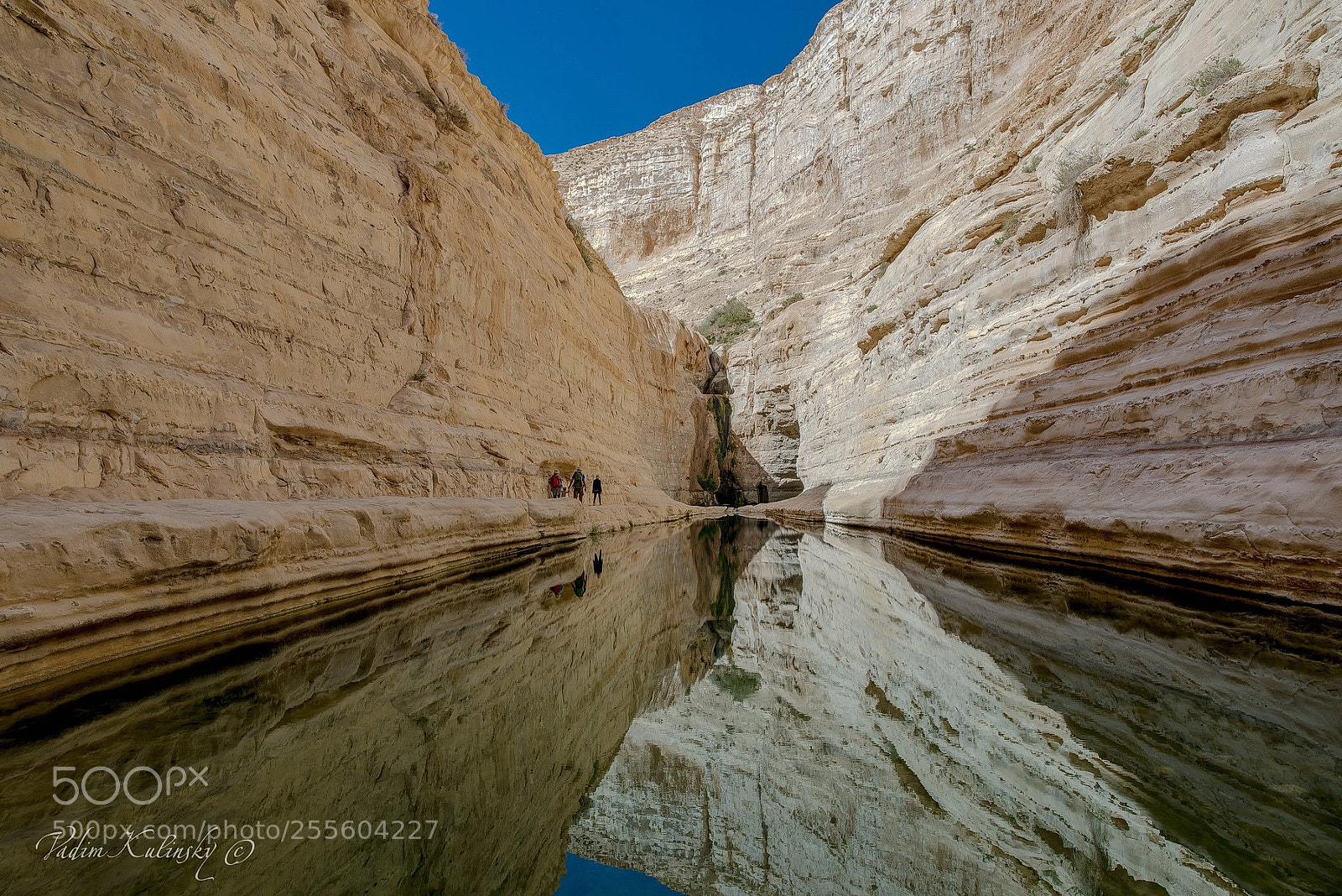 Nikon D610 sample photo. Ein avdat.jpg photography