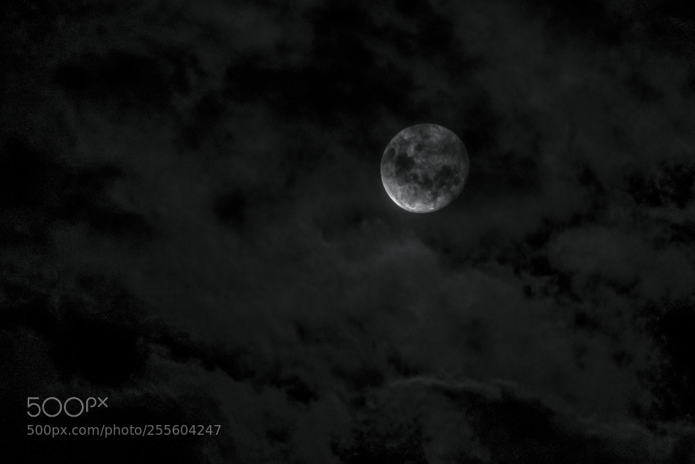 Nikon D5300 sample photo. Moon of april photography