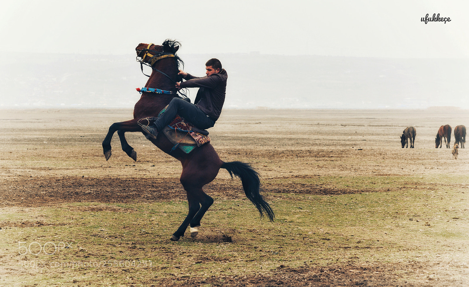 Nikon D5200 sample photo. Rahvan atları photography