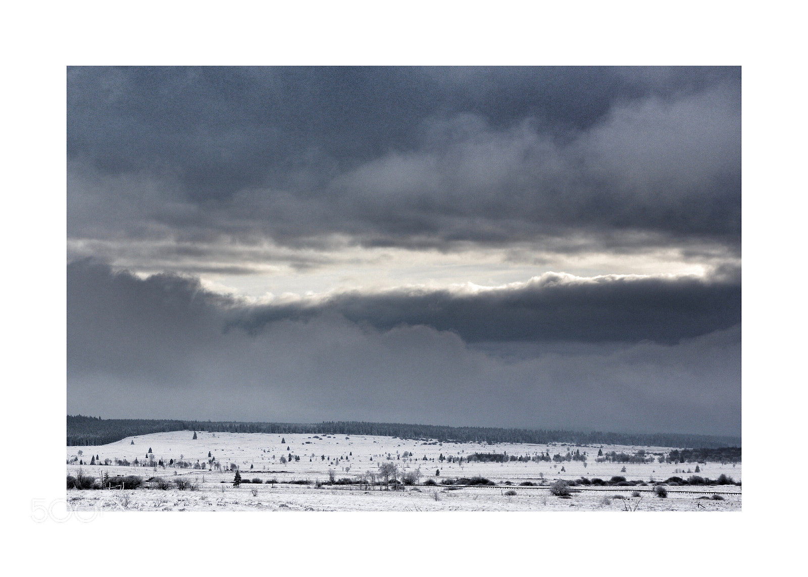 Nikon D7100 sample photo. Untitled photography