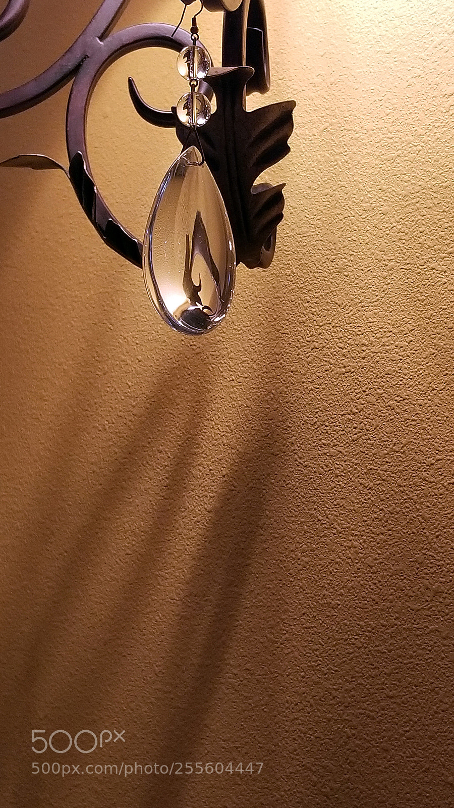 Samsung Galaxy S8+ sample photo. Teardrop at the grape 2018 photography