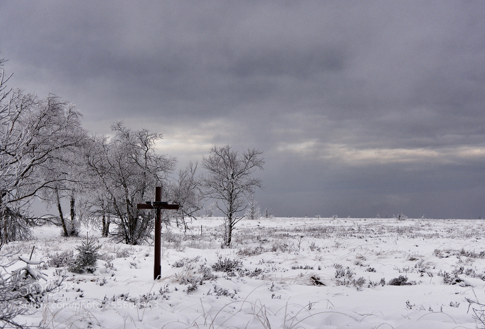 Nikon D7100 sample photo. Untitled photography