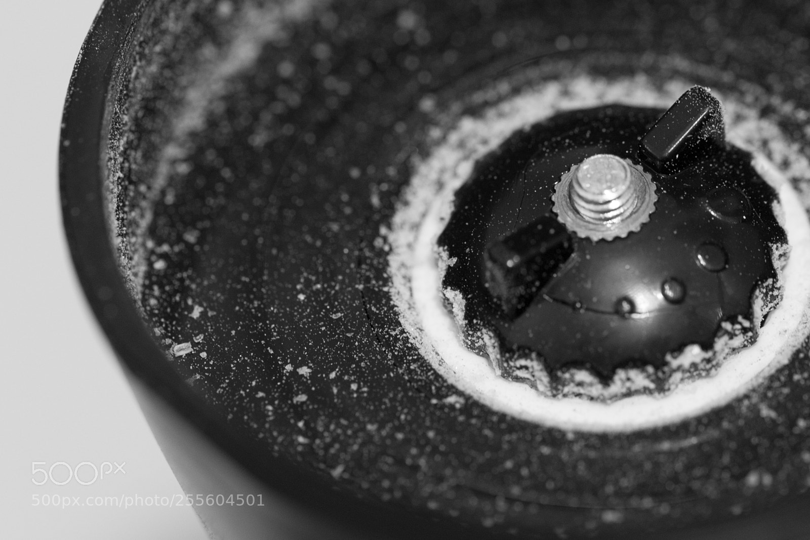 Nikon D3100 sample photo. Black and white salt photography