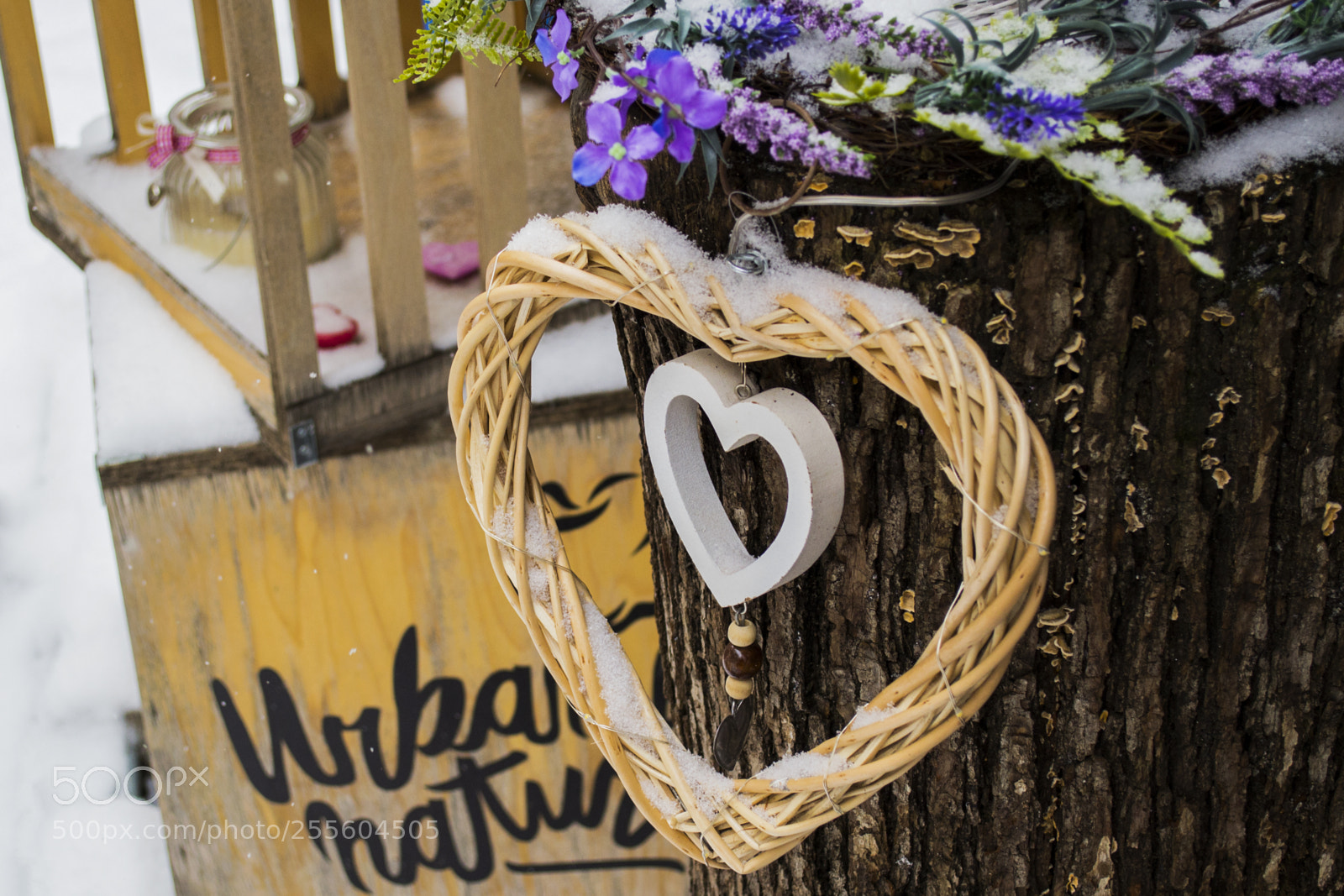 Nikon D3100 sample photo. Beautiful outdoors heart decoration photography