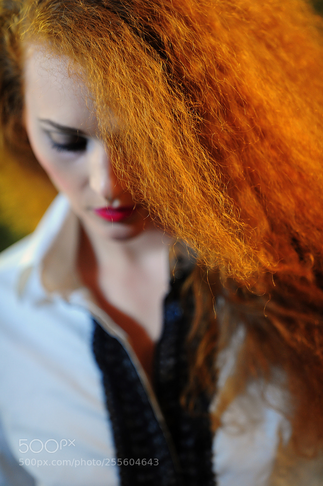 Nikon D3S sample photo. Vivid photography