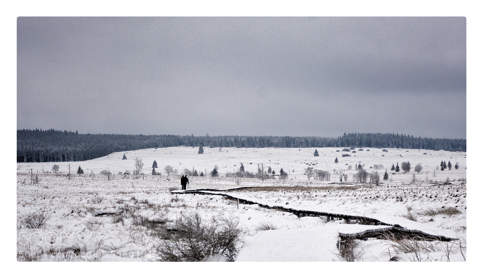 Nikon D7100 sample photo. Untitled photography