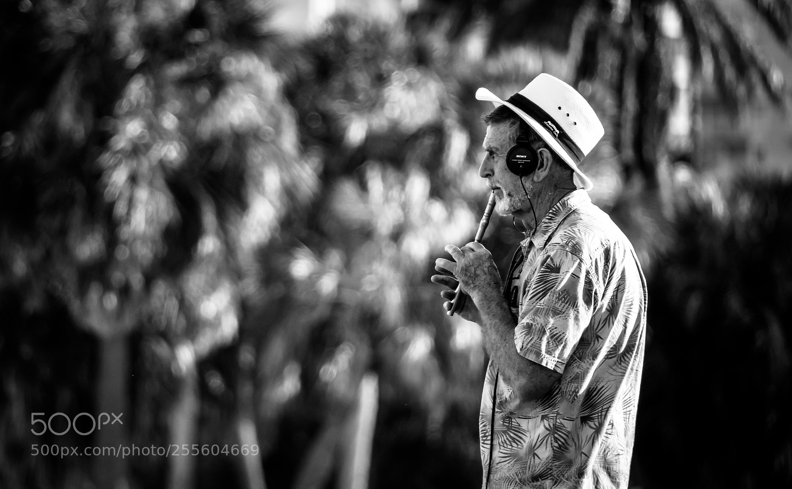 Sony Cyber-shot DSC-RX10 IV sample photo. The flute photography