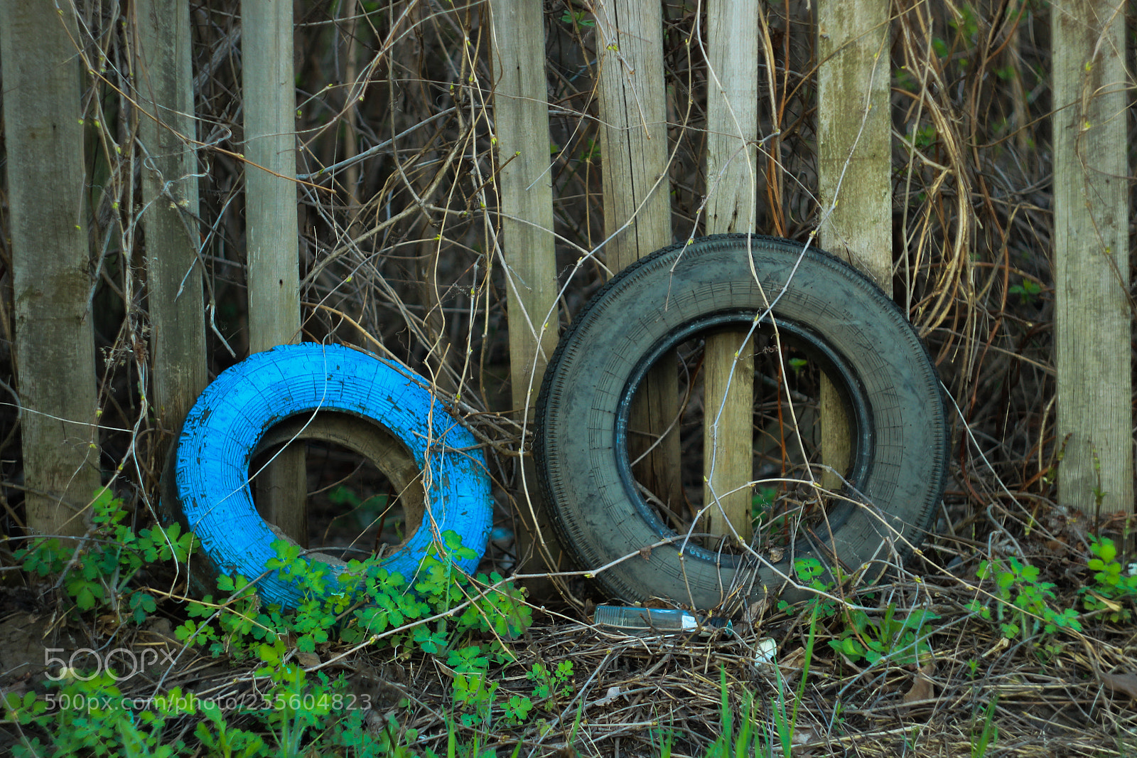 Canon EOS 600D (Rebel EOS T3i / EOS Kiss X5) sample photo. Nice tires photography