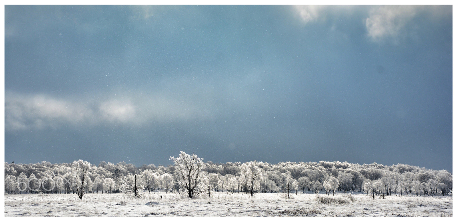 Nikon D7100 sample photo. Untitled photography