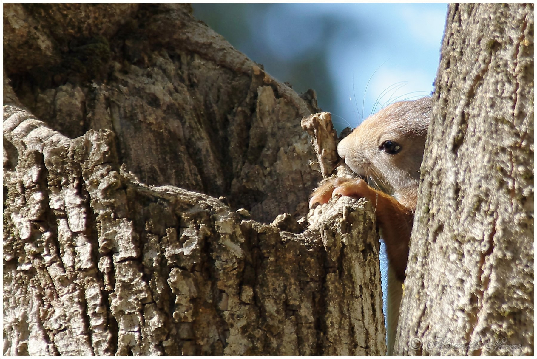 Pentax K-3 II sample photo. Nada por aquí... photography