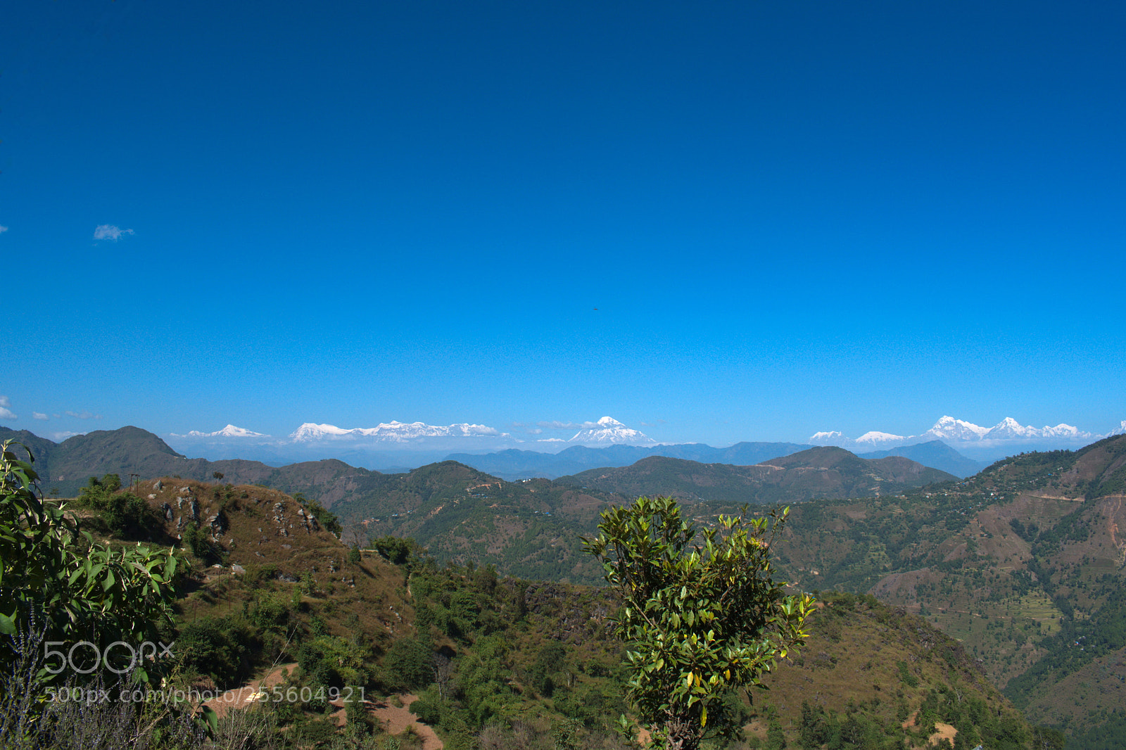 Nikon D5600 sample photo. Himalaya range photography