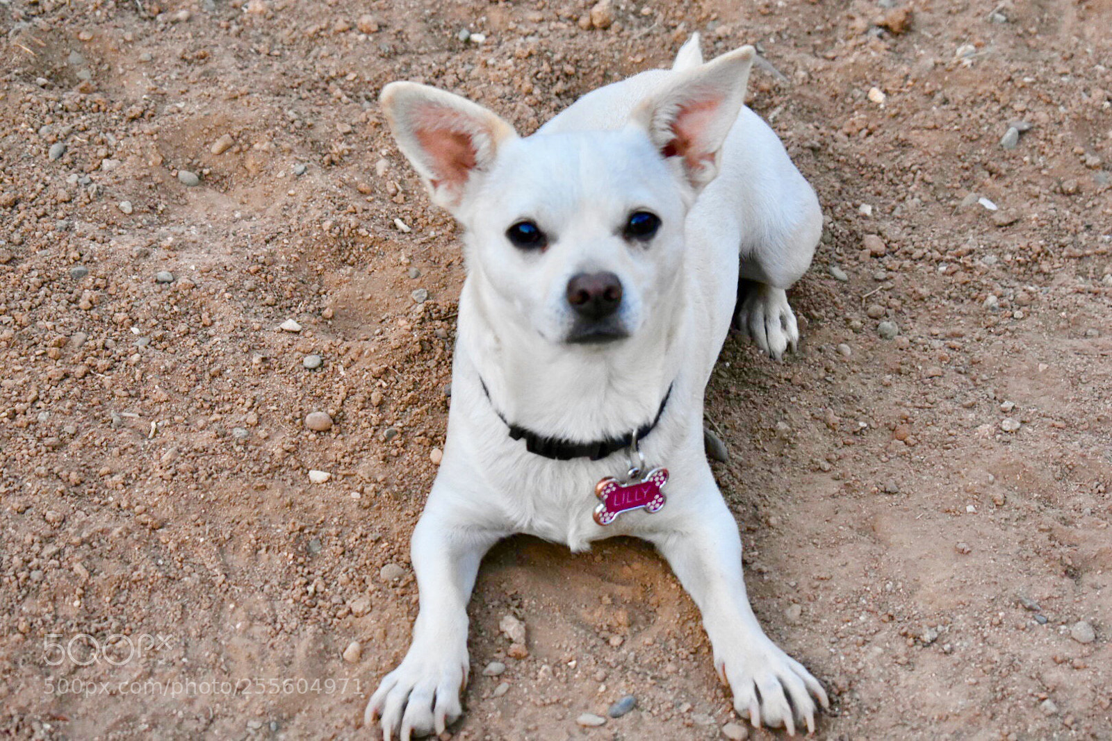 Nikon D3400 sample photo. She s ready to photography