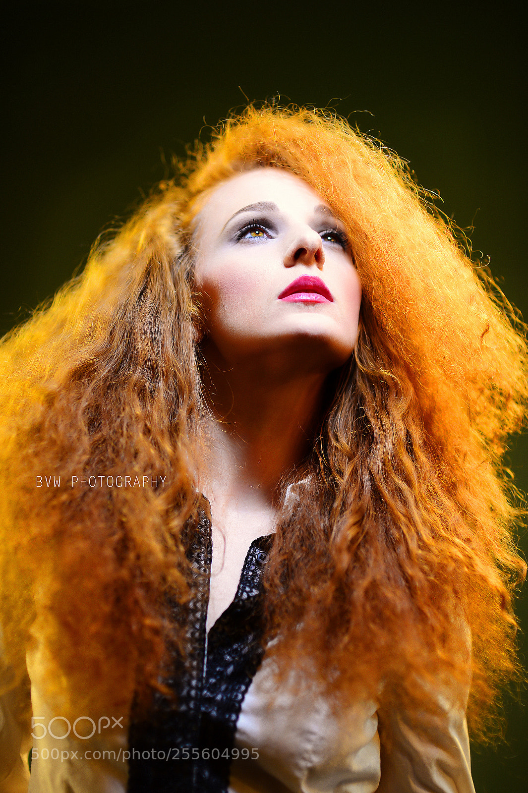 Nikon D4 sample photo. Vivid photography