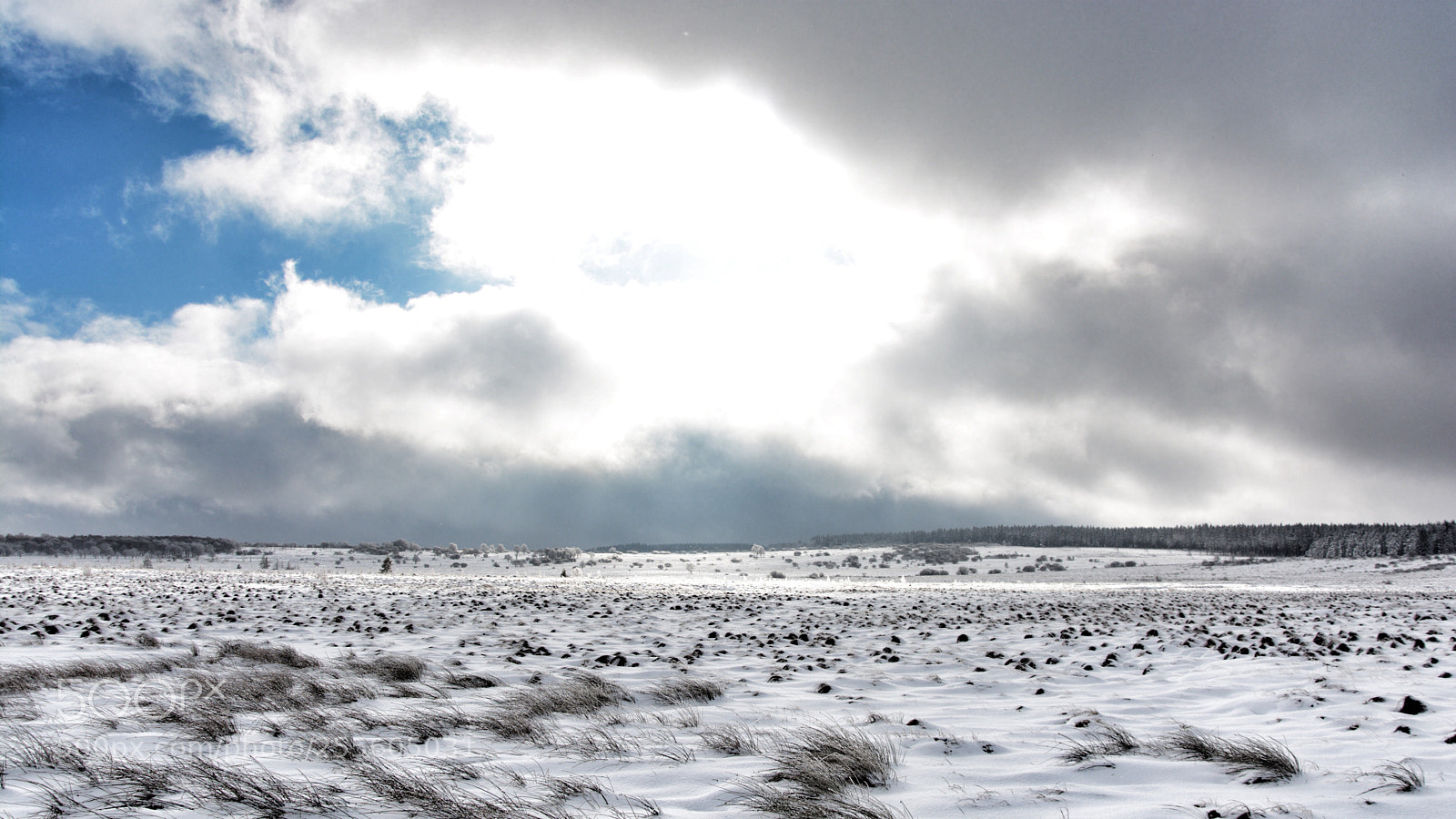Nikon D7100 sample photo. Untitled photography