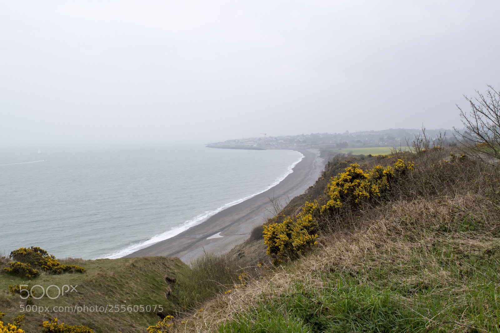 Nikon D5500 sample photo. Coast of wicklow photography