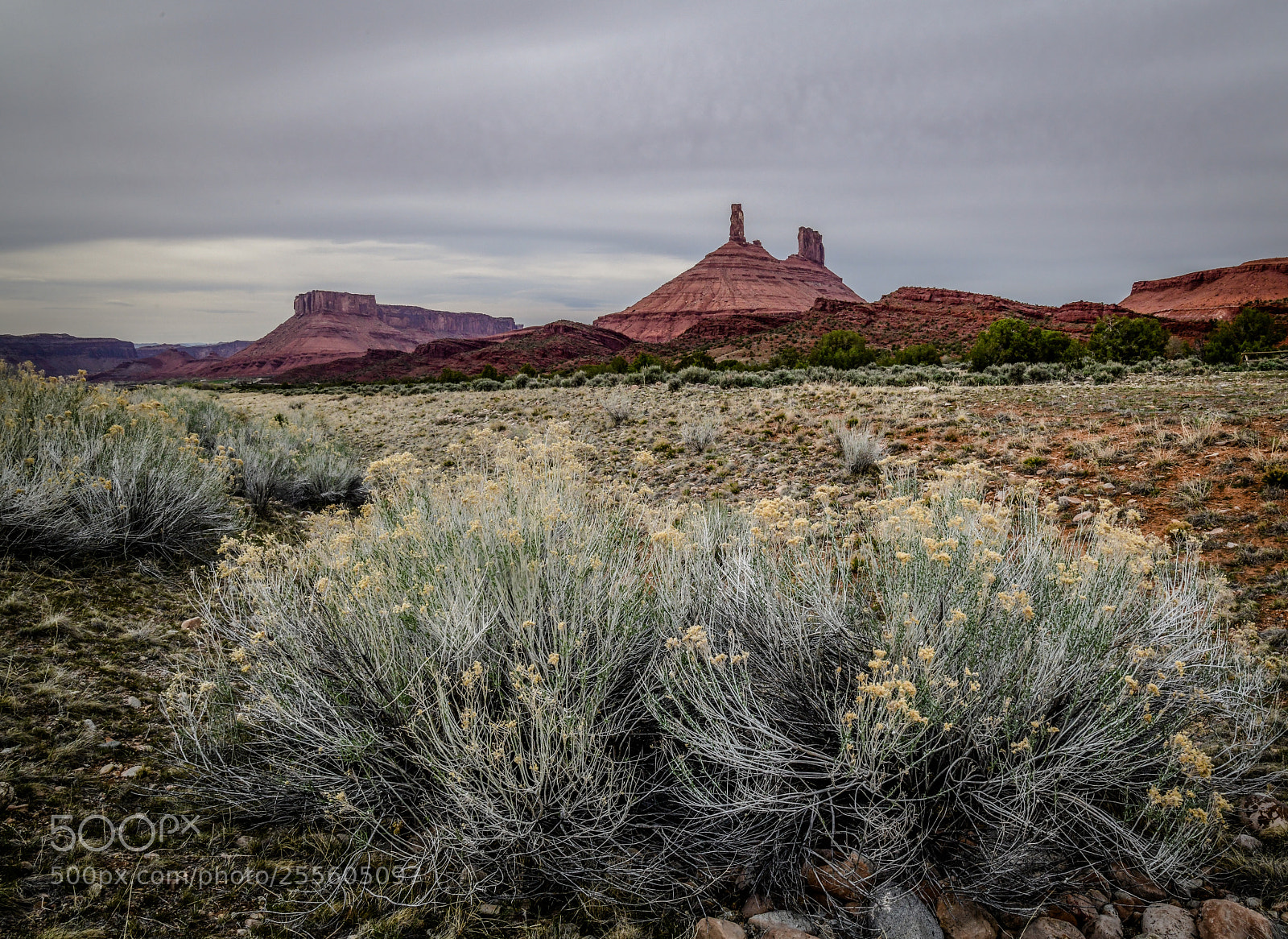 Nikon D850 sample photo. Castle valley photography