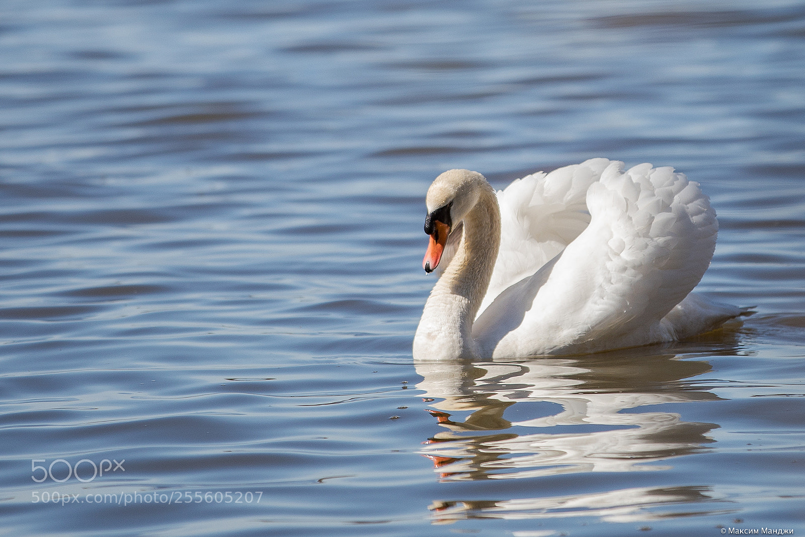 Canon EOS 5D Mark IV sample photo. Untitled photography