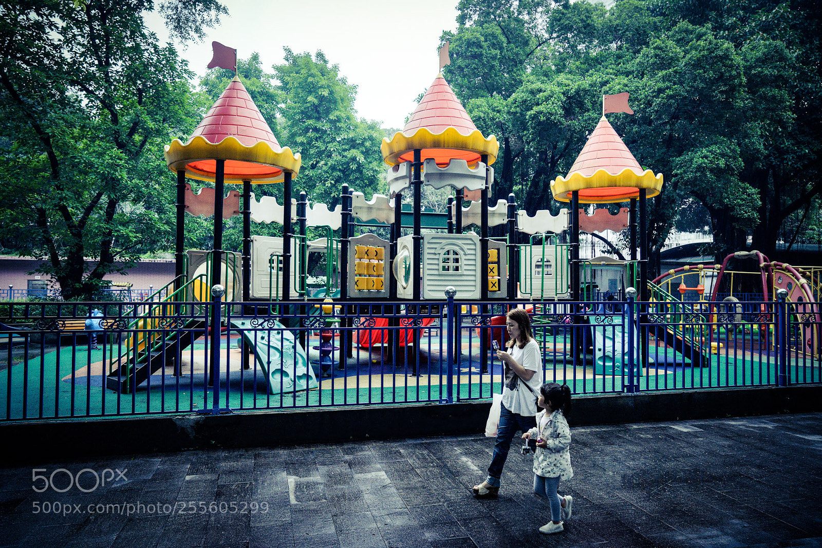 Sony a7R II sample photo. Untitled photography